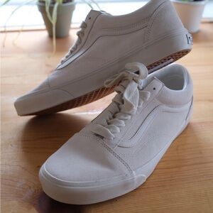 Vans men’s Old Skool Shoe